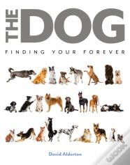The Dog