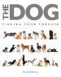 The Dog - Preview