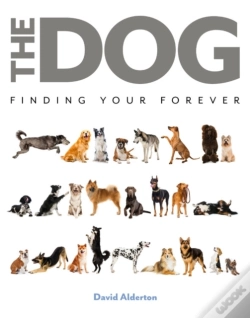 Capa do artigo The Dog
