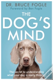 Capa do artigo The Dog
