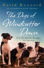 The Dogs Of Windcutter Down - Preview