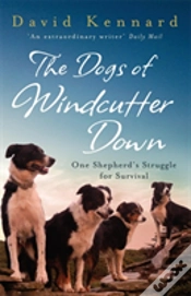 Capa do artigo The Dogs Of Windcutter Down