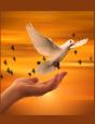The Dove Christian Inspirational Notebook - Preview