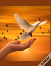 Capa do artigo The Dove Christian Inspirational Notebook