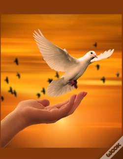 Capa do artigo The Dove Christian Inspirational Notebook