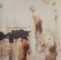 The Downward Spiral - Vinil - Preview