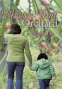 The Dragon Fruit Orchard - Preview