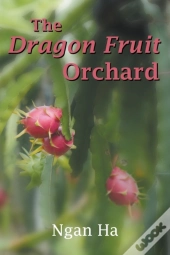 The Dragon Fruit Orchard
