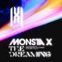 The Dreaming - Vinil - Preview