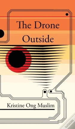 Capa do artigo The Drone Outside
