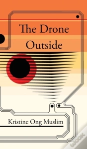 Capa do artigo The Drone Outside