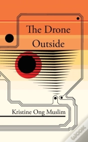Capa do artigo The Drone Outside