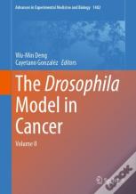 The Drosophila Model In Cancer