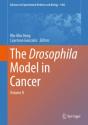 The Drosophila Model In Cancer - Preview