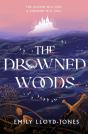 The Drowned Woods - Preview