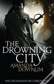 Capa do artigo The Drowning City