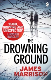 Capa do artigo The Drowning Ground