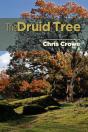 The Druid Tree - Preview