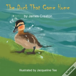 Capa do artigo The Duck That Came Home