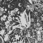 The Dusk in Us - Vinil - Preview