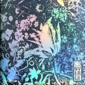 Capa do artigo The Dusk In Us - Vinil