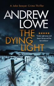 Capa do artigo The Dying Light