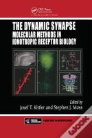The Dynamic Synapse