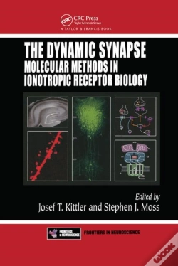 Capa do artigo The Dynamic Synapse