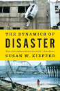 The Dynamics Of Disaster - Preview