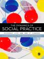 The Dynamics Of Social Practice - Preview