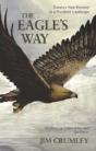 The Eagle'S Way - Preview