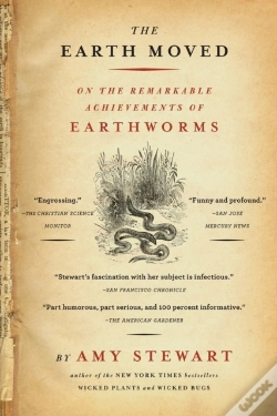 Capa do artigo The Earth Moved
