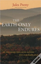 Capa do artigo The Earth Only Endures