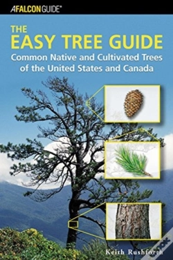 Capa do artigo The Easy Tree Guide