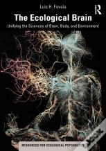 The Ecological Brain