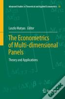 The Econometrics Of Multi-Dimensional Panels