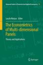 The Econometrics Of Multi-Dimensional Panels - Preview