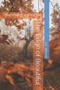 The Edge Of Beautiful - Preview