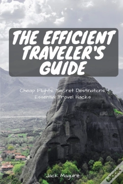 Capa do artigo The Efficient Traveler'S Guide: Cheap Fl