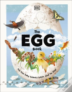 Capa do artigo The Egg Book