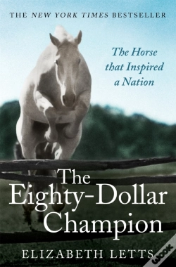 Capa do artigo The Eighty Dollar Champion