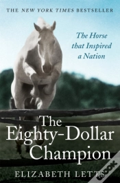Capa do artigo The Eighty Dollar Champion