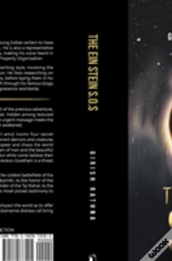 Capa do artigo The Ein Stein S.O.S