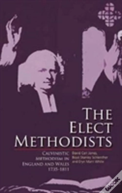 Capa do artigo The Elect Methodists