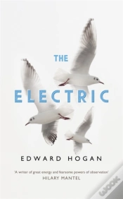 Capa do artigo The Electric