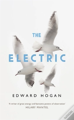 Capa do artigo The Electric