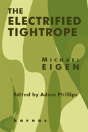 The Electrified Tightrope - Preview