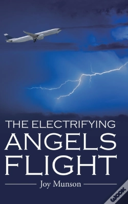 Capa do artigo The Electrifying Angels Flight