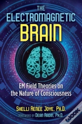 The Electromagnetic Brain