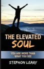 The Elevated Soul: You Are More Than Wha - Preview